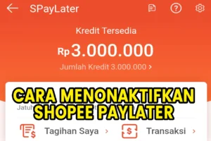 Nonaktifkan Shopee Paylater