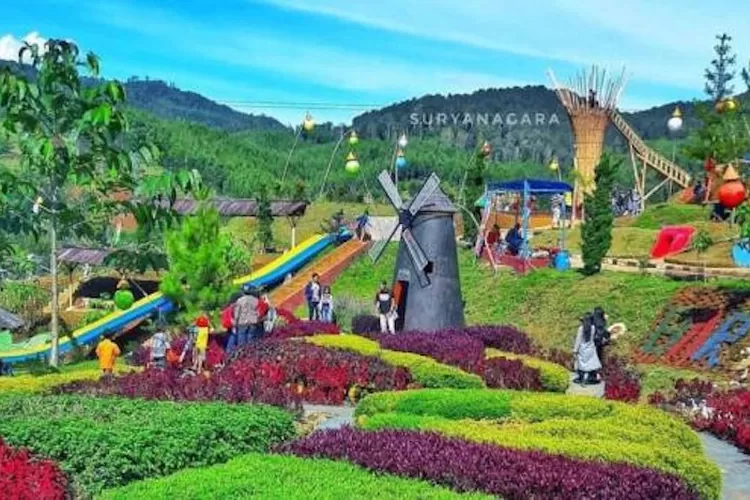 Dago Dream Park