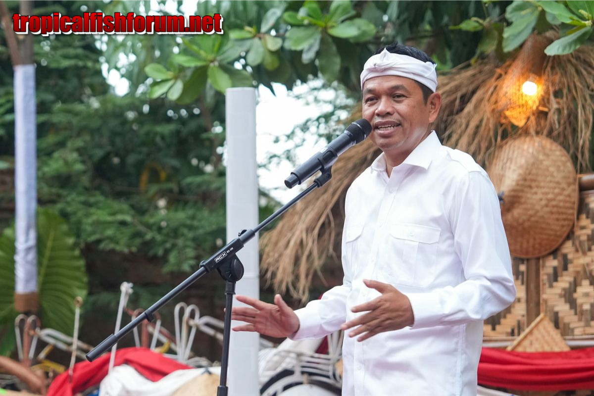 Bayar Pajak Kendaraan Tanpa Biaya Tunggakan di Jabar Dimulai Besok, Begini Caranya